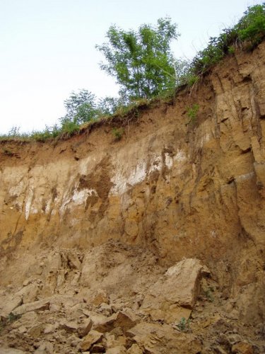 Přírodní památka Olšava - 30.8.2006